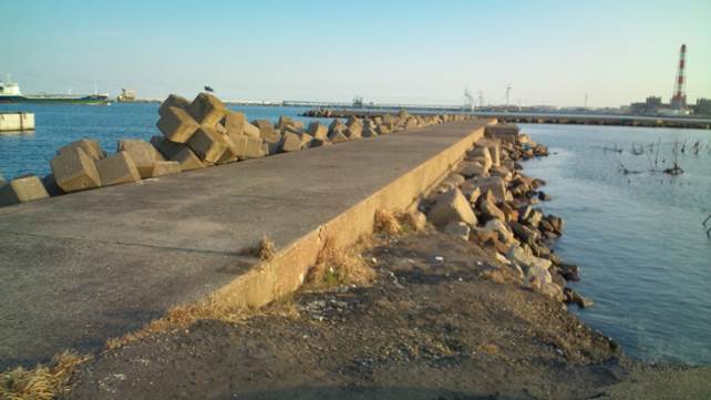 ���|�[�g���W�I���Ӂ�