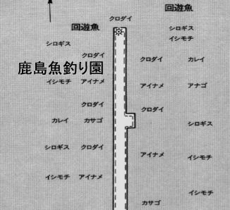 ���n�}�@��